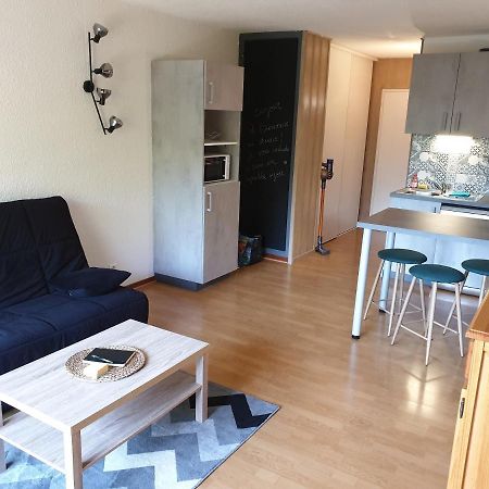 Apartament Studio Refait A Neuf Saint-Jean-Saint-Nicolas Zewnętrze zdjęcie