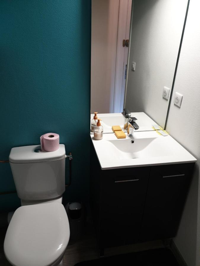 Apartament Studio Refait A Neuf Saint-Jean-Saint-Nicolas Zewnętrze zdjęcie